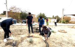 اجرای طرح «رستاپیا» در روستای قلنجو از توابع ارومیه