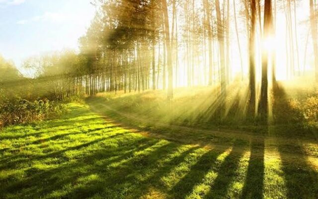چرا نور خورشید علائم لوپوس را تشدید می‌کند؟