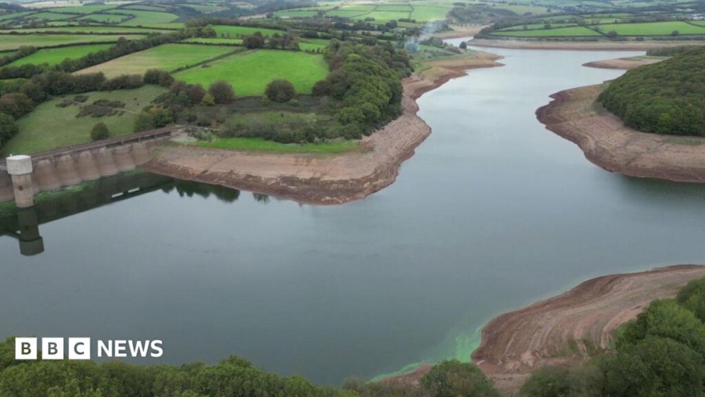 Severe drought declared in parts of southern England