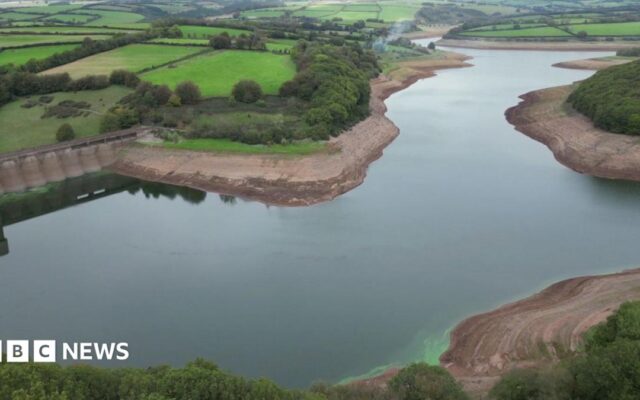 Severe drought declared in parts of southern England