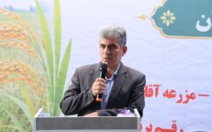 تحقیق برای تجاری‌سازی پرورش گوسفند تالشی در گیلان