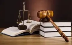 صدور کیفرخواست محاربه برای دو سارق مسلح منازل تهران