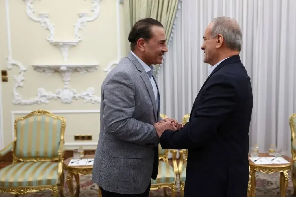 دیدار و رایزنی عاصم منیر با پزشکیان