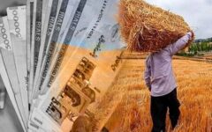 قیمت خرید تضمینی گندم باز هم تعیین نشد؛ گندمکاران در انتظار تصمیم نهایی