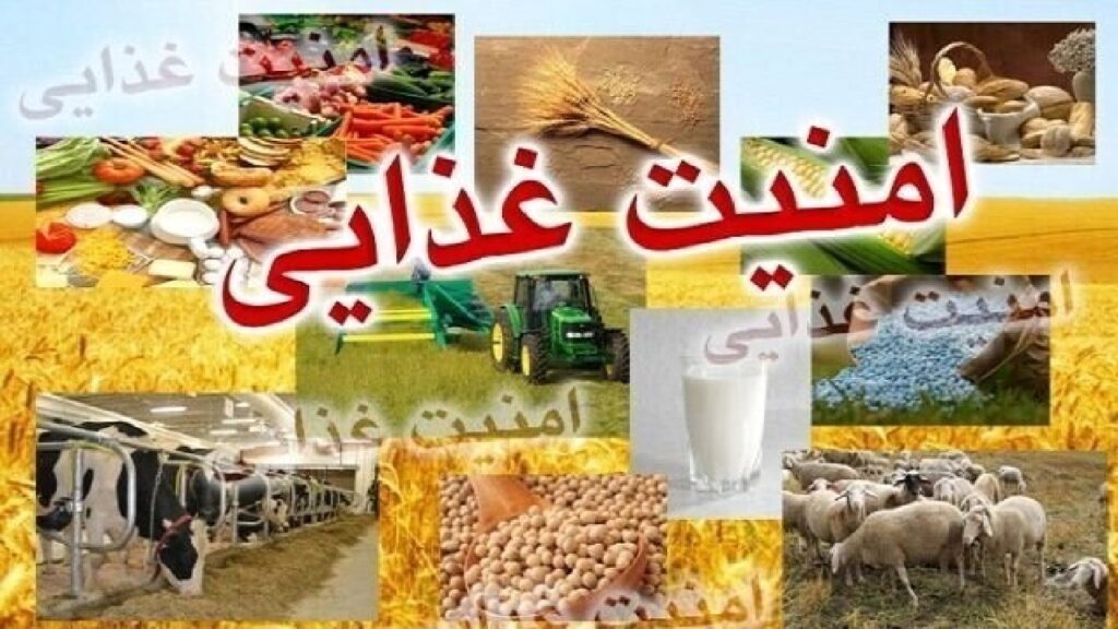 وابستگی ۹۰ درصدی تولید گوشت مرغ به واردات نهاده دامی