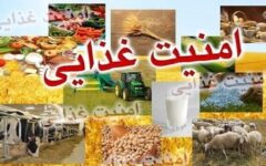 وابستگی ۹۰ درصدی تولید گوشت مرغ به واردات نهاده دامی