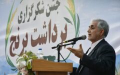 گردش مالی ۵ همتی برنج میانه؛ ضرورت سرمایه‌گذاری در صنایع تبدیلی