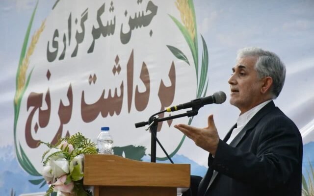 گردش مالی ۵ همتی برنج میانه؛ ضرورت سرمایه‌گذاری در صنایع تبدیلی