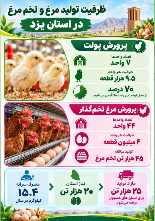 تولید سالیانه ۴۵ هزار تن تخم‌مرغ در استان یزد