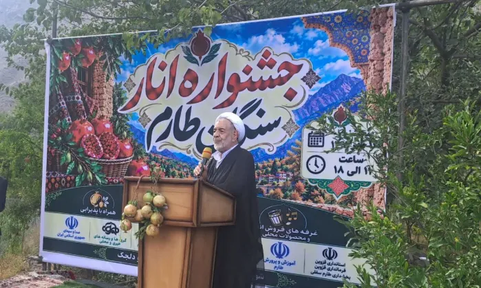 علیخانی: ارتقای طارم سفلی به شهرستان با پیگیری مسئولان استان قزوین محقق شود