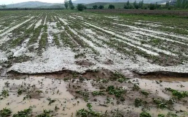 خسارت ۴ میلیارد تومانی سیل به بخش کشاورزی روستای اورنلر ماکو
