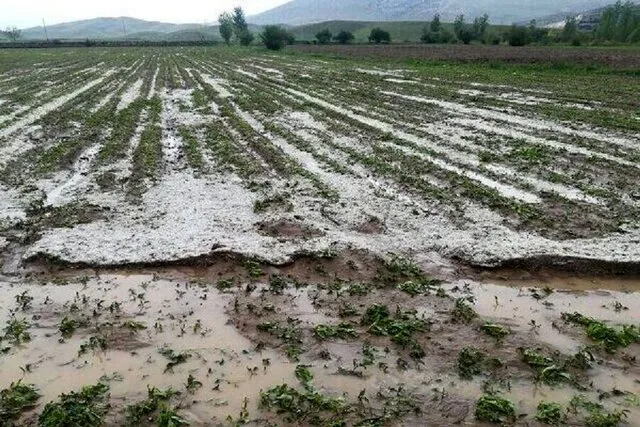 خسارت ۴ میلیارد تومانی سیل به بخش کشاورزی روستای اورنلر ماکو