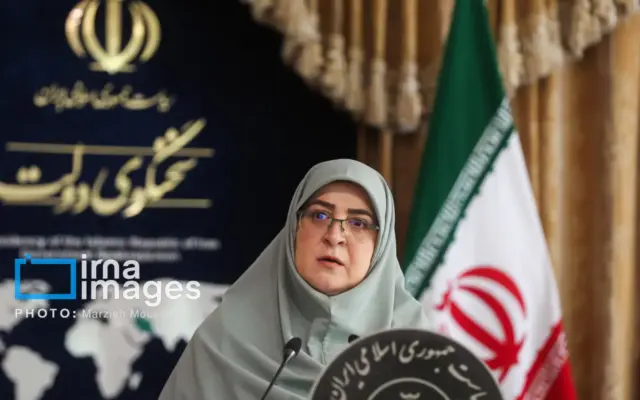 فشارهای اقتصادی نباید فرهنگ فرزندآوری را تغییر دهد/ لزوم توجه به دورکاری زنان باردار
