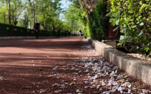 ماجرای آتش‌سوزی مجموعه ورزشی انقلاب چه بود؟