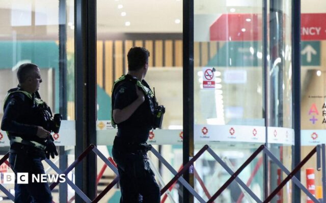 Warning signs over threats to Australian politicians were rising before MP hit by car