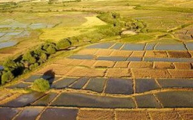رییس امور اراضی کشور از تثبیت مالکیت کشاورزان در بیش از ۲.۱۴ میلیون هکتار خبر داد