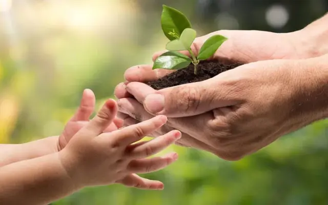آموزش محیط‌زیست باید از کتاب‌های درسی بیرون بیاید