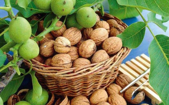 چهارمین جشنواره ملی گردو در شهر کلور برگزار میشود