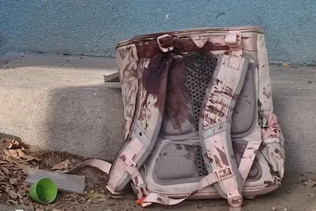 بیانیه استادان دانشگاه آزاد تهران مرکزی در محکومیت حمله به دبستان میناب