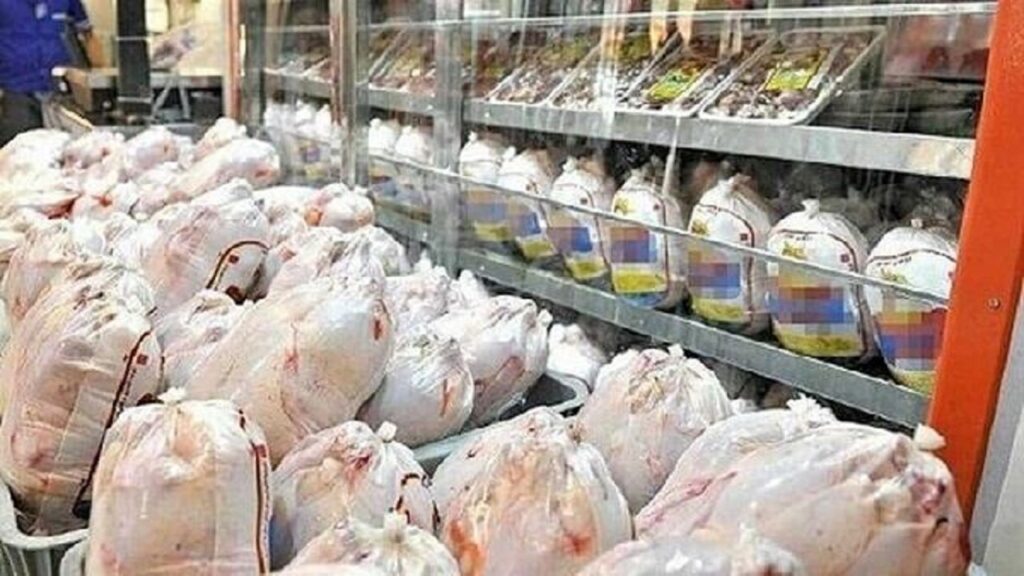 بیش از ۵۰۰ تن گوشت مرغ از مازندران راهی پایتخت شد