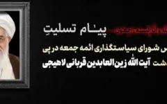 رئیس شورای سیاستگذاری ائمه‌جمعه: آیت‌الله زین‌العابدین قربانی همراه همیشگی نهضت اسلامی بود