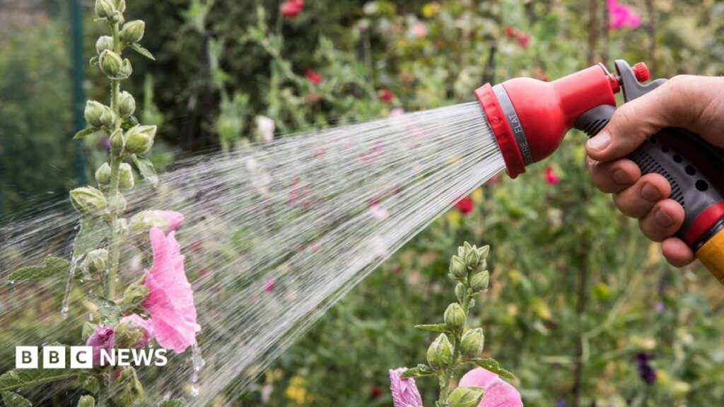 Severe drought declared and hosepipe bans in force - is your area affected?