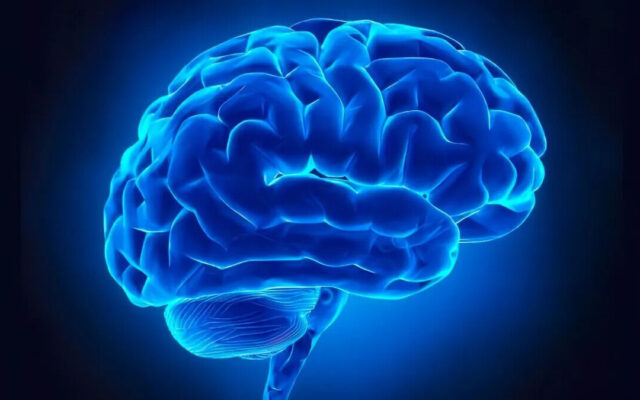 تنوع غذایی چه اثری بر مغز دارد؟ نتایج یک پژوهش سیستماتیک