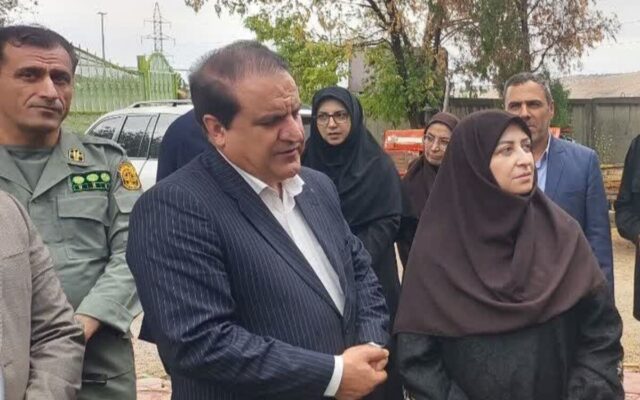 برنامه جامع یکپارچه برای صیانت از جنگلهای زاگرس پیگیری میشود