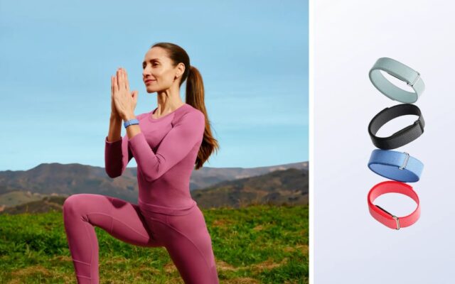 Google launches Fitbit Air in India, though its high price might deter the masses