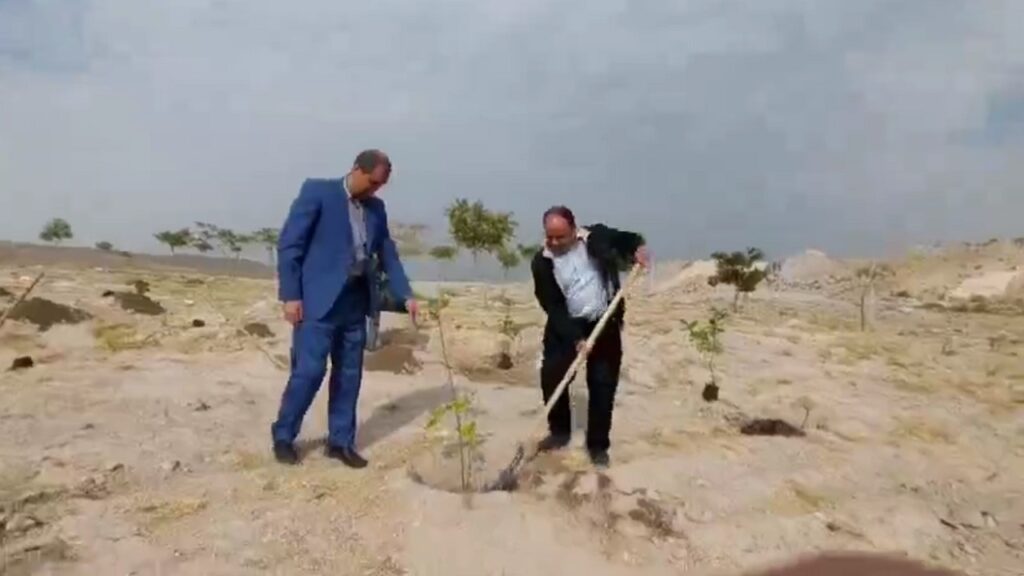 کاشت ۱۰۰ اصله نهال در ورزشگاه یادگار امام تبریز