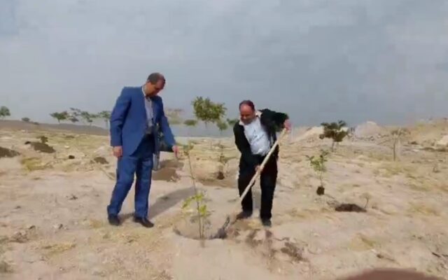 کاشت ۱۰۰ اصله نهال در ورزشگاه یادگار امام تبریز