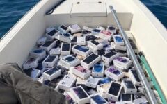 احتمال قطع آنتن ۱۰۰ هزار گوشی قاچاق/ رضا عالیان، کارشناس بازار موبایل: استعلام از سامانه همتا، پیش از خرید الزامی است