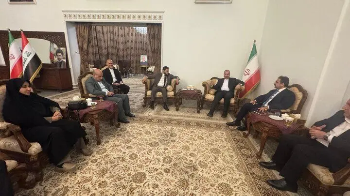 دیدار رئیس سازمان گذرگاه‌های مرزی و استانداران سه استان مرزی عراق با سفیر ایران