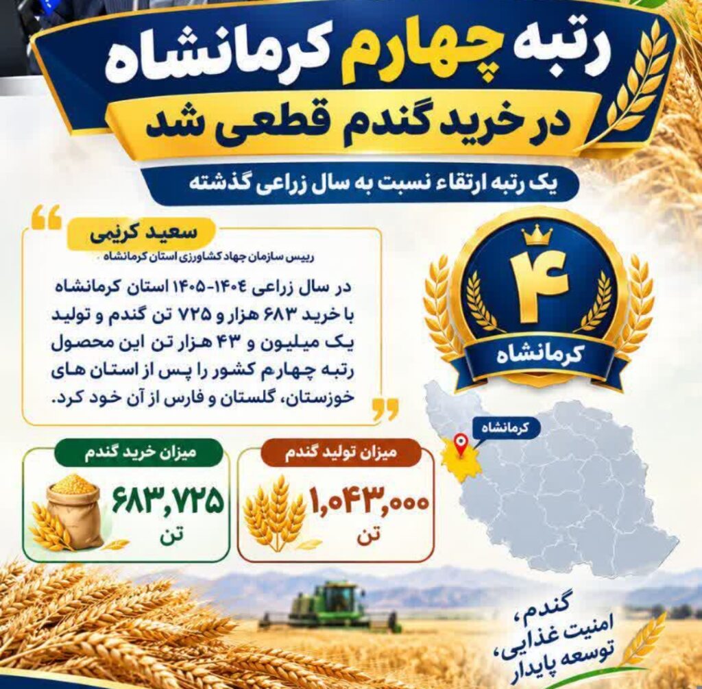 کرمانشاه در رتبه چهارم خرید گندم کشور