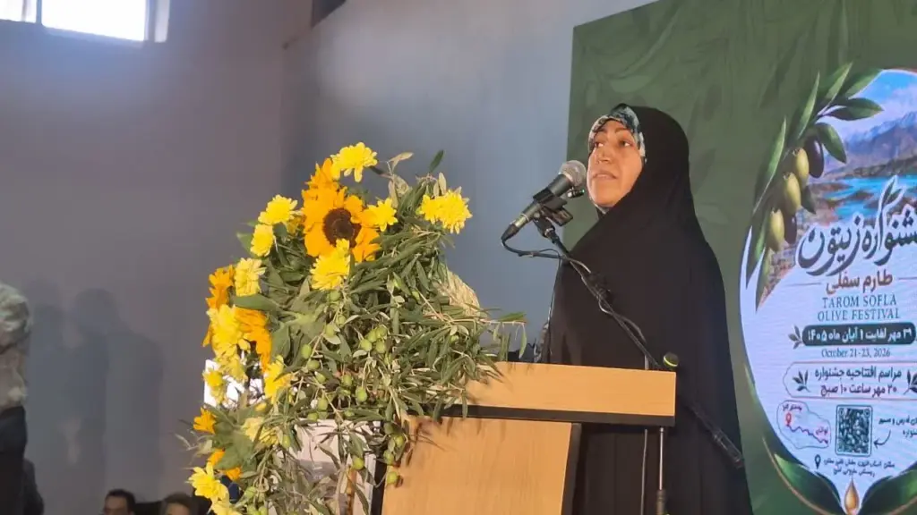 محمدبیگی: خشکسالی و کمبود صنایع فرآوری، زیتونکاران طارم را با مشکل مواجه کرده است