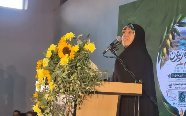 محمدبیگی: خشکسالی و کمبود صنایع فرآوری، زیتون‌کاران طارم را با مشکل مواجه کرده است