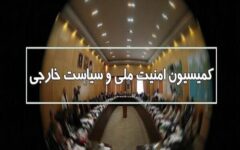 جزئیات جلسه کمیسیون امنیت ملی مجلس با فرمانده نیروی هوایی ارتش