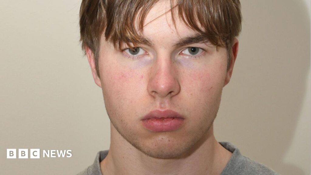 Norwegian teen 'hitman' detained for UK murder plot