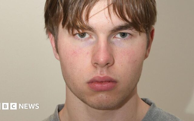Norwegian teen 'hitman' detained for UK murder plot