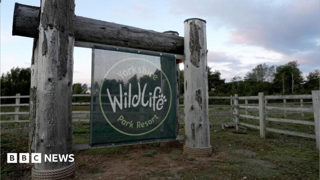 Wildlife park reopens after man killed by tiger
