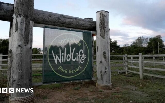 Wildlife park reopens after man killed by tiger