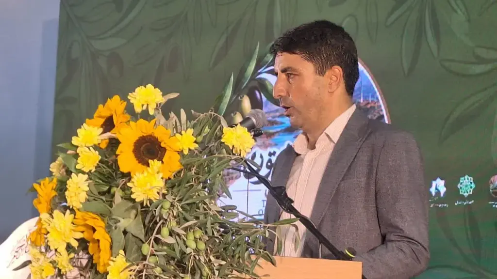 حمیدی: صادرات زیتون ترکیه ۵۰۰ برابر ایران است؛ کارگروه ویژه صادرات تشکیل شود