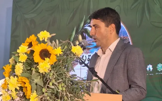 حمیدی: صادرات زیتون ترکیه ۵۰۰ برابر ایران است؛ کارگروه ویژه صادرات تشکیل شود