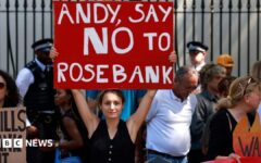 What is happening with the Jackdaw and Rosebank gas and oil fields?