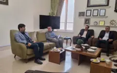 قزوین میزبان جشنواره ملی اسب عرب شود