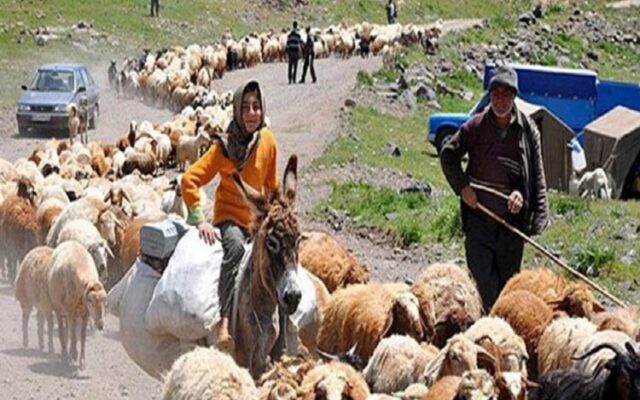 آغاز کوچ پائیزه در بروجرد