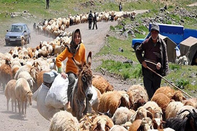 آغاز کوچ پائیزه در بروجرد