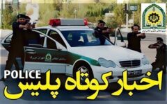 اقتدار پلیس فارس در پاکسازی مناطق از مجرمان و قاچاقچیان/ از کشف قتل تا استرداد اموال مسروقه