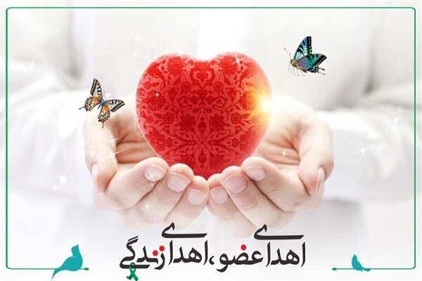 اهدای عضو مادر ۳۷ ساله فسایی جان چهار بیمار را نجات داد