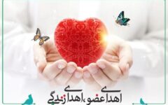 اهدای عضو بانوی دیباجی به بیماران نیازمند